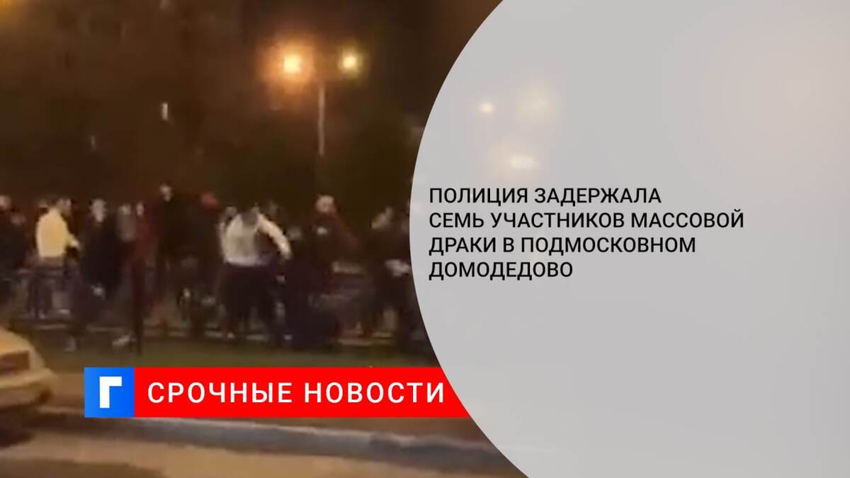 Полиция задержала семь участников массовой драки в подмосковном Домодедово