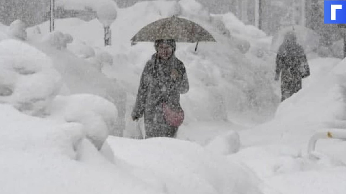Петербуржцев просят оставаться дома из-за надвигающегося снегопада