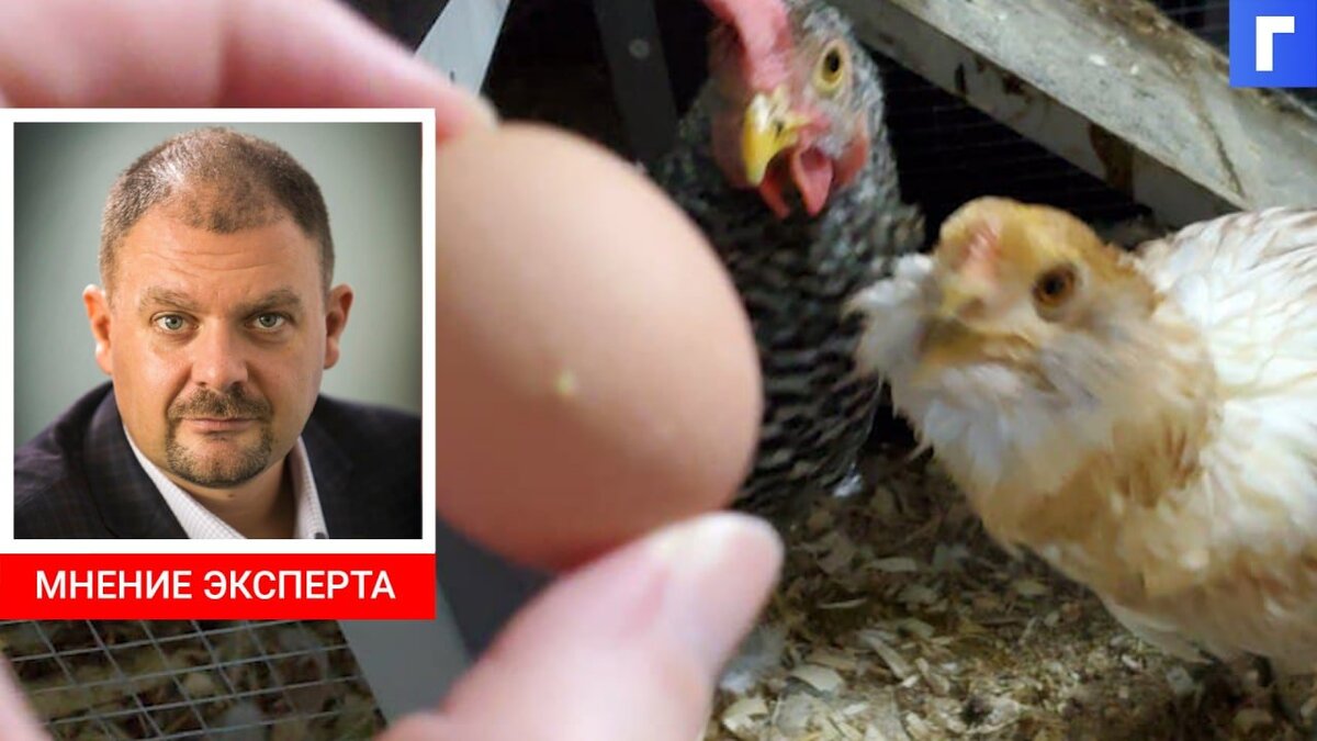 Российские производители мяса птицы и яиц договорились о сдерживании цен Российские производители мяса птицы и яиц договорились о сдерживании цен