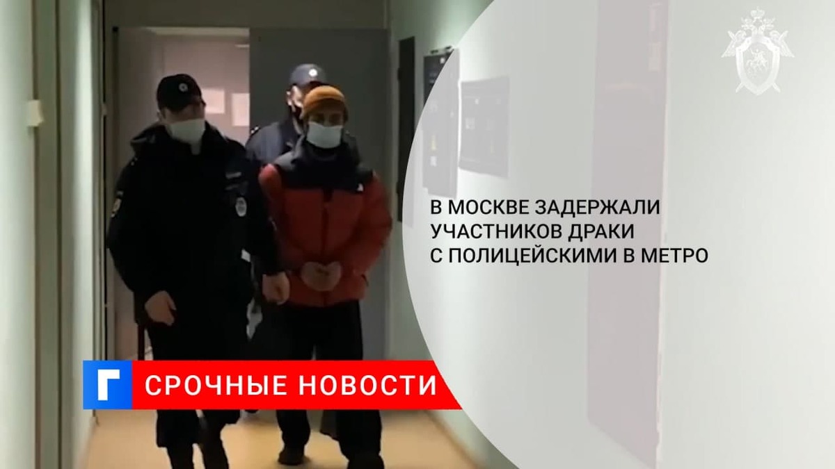 В Москве задержали участников драки с полицейскими в метро на «Тульской»