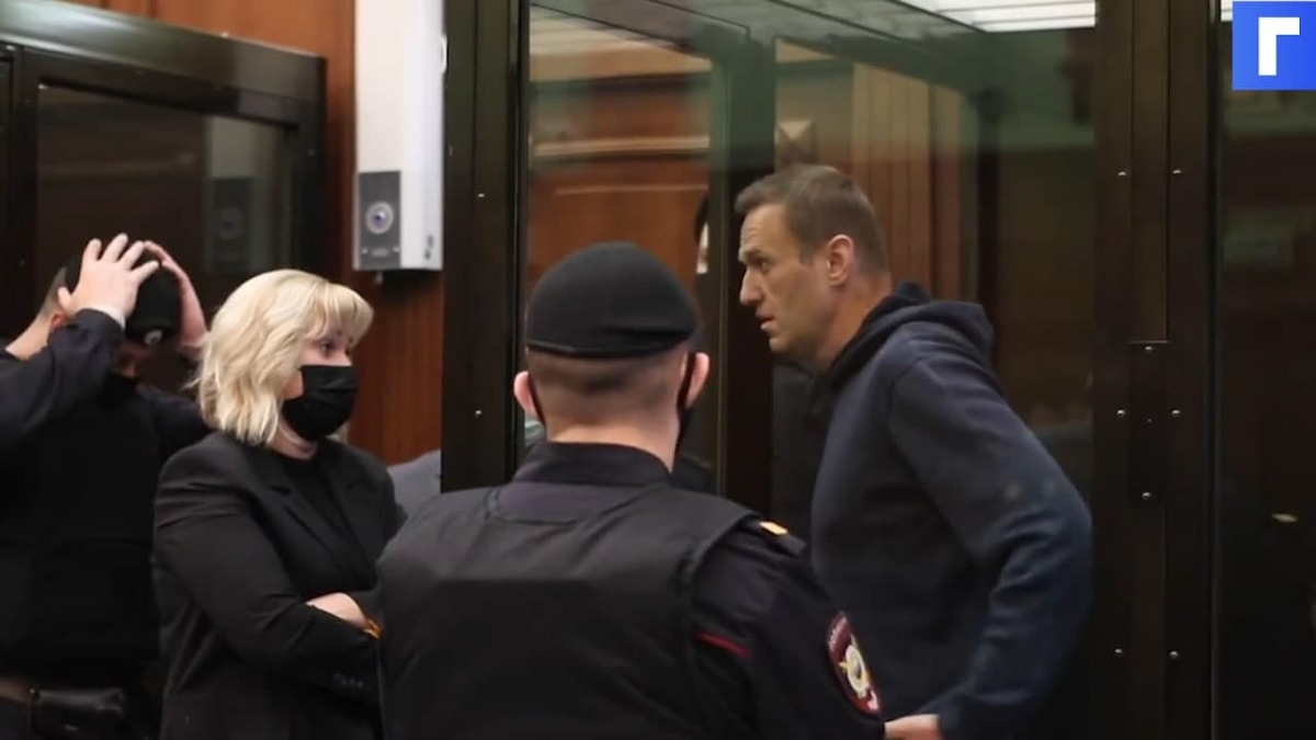 Навальный не признал вину в суде по делу о клевете на ветерана
