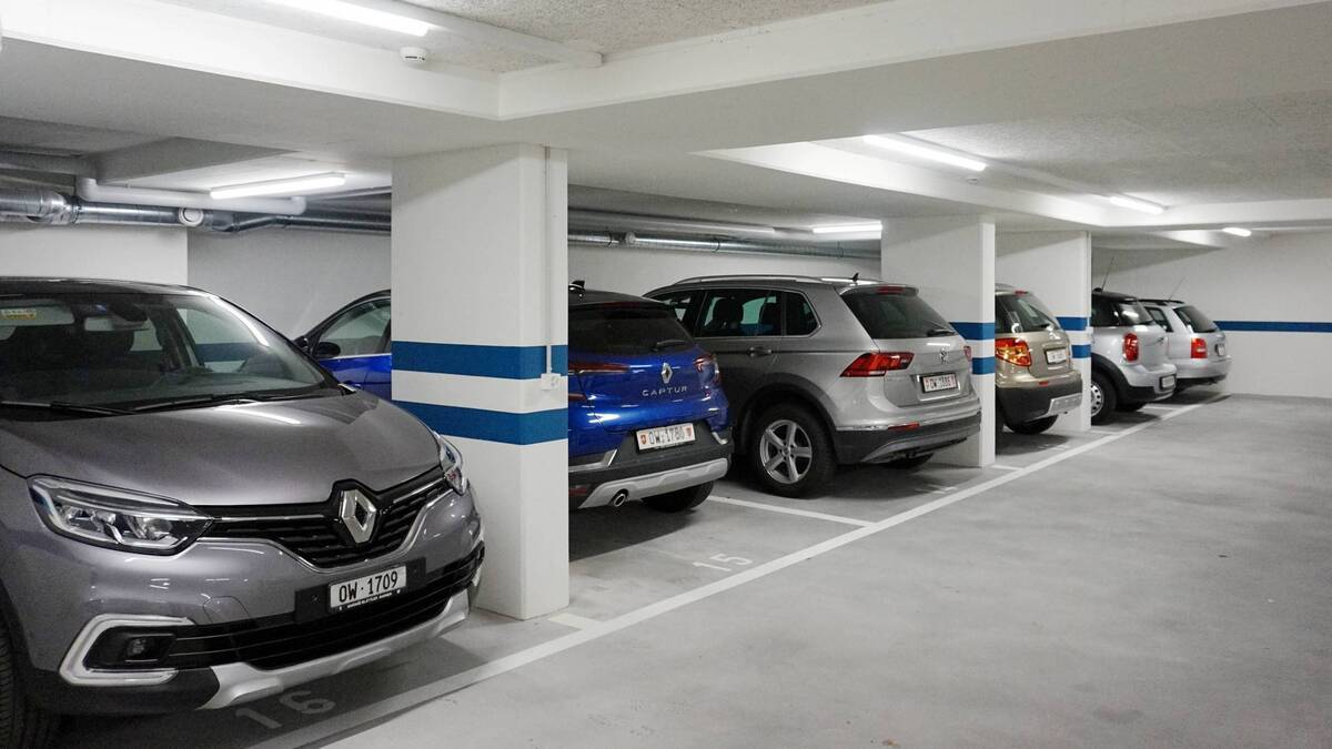 Вот так встреча: москвичи запечатлели неожиданную «находку» на подземном паркинге
