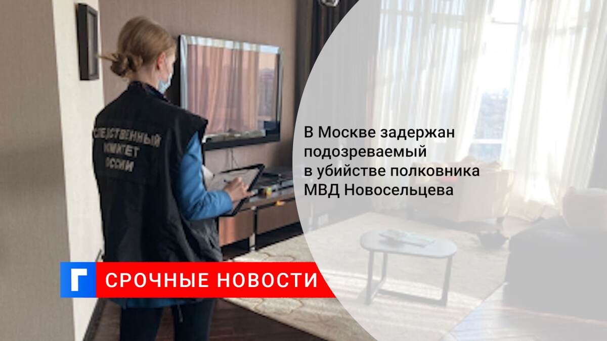 В Москве задержан подозреваемый в убийстве полковника МВД Новосельцева