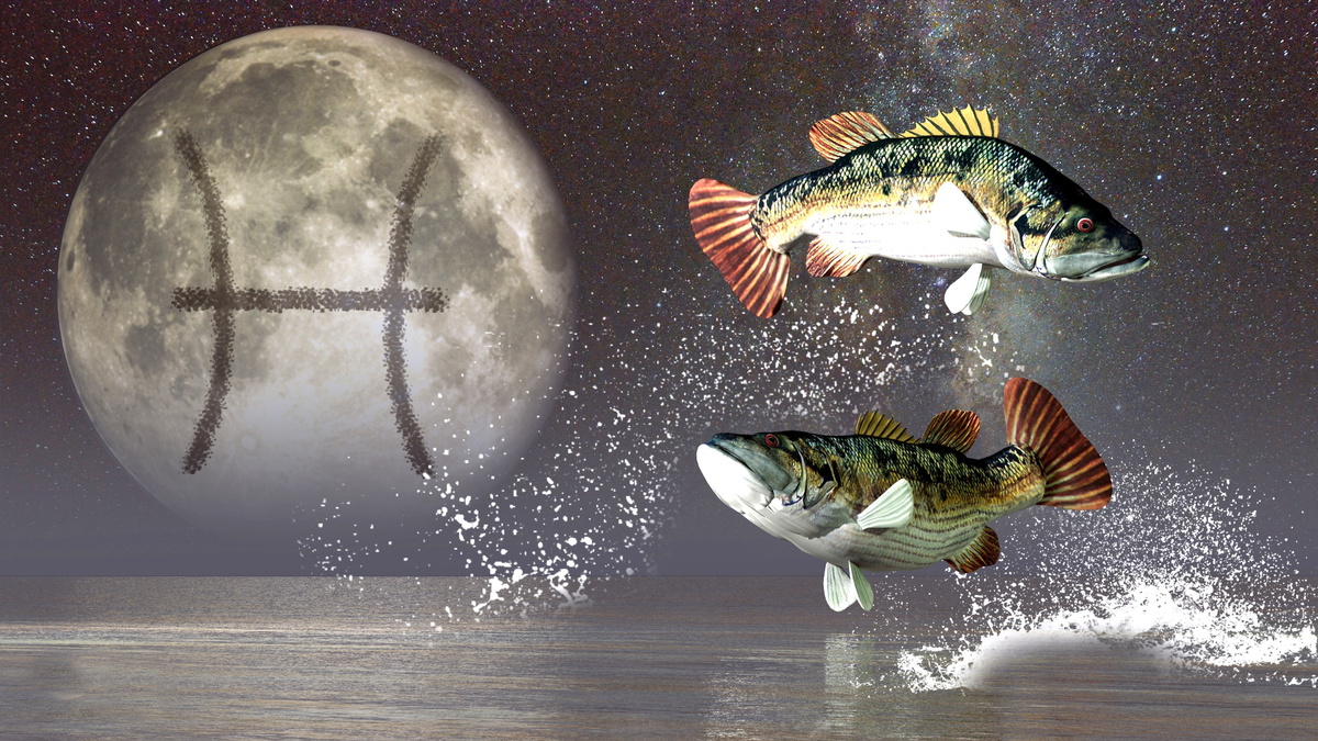 Астролог: Рыбы найдут работу своей мечты во второй половине жизни