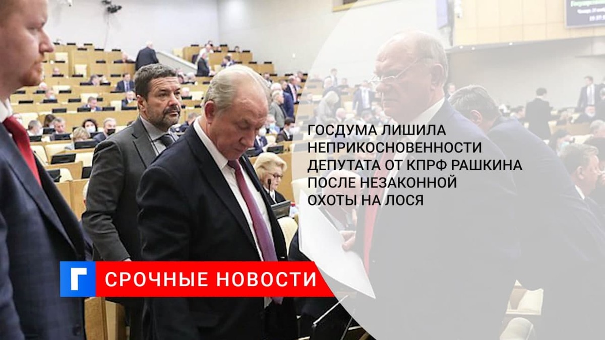 Госдума лишила неприкосновенности депутата от КПРФ Рашкина после незаконной охоты на лося