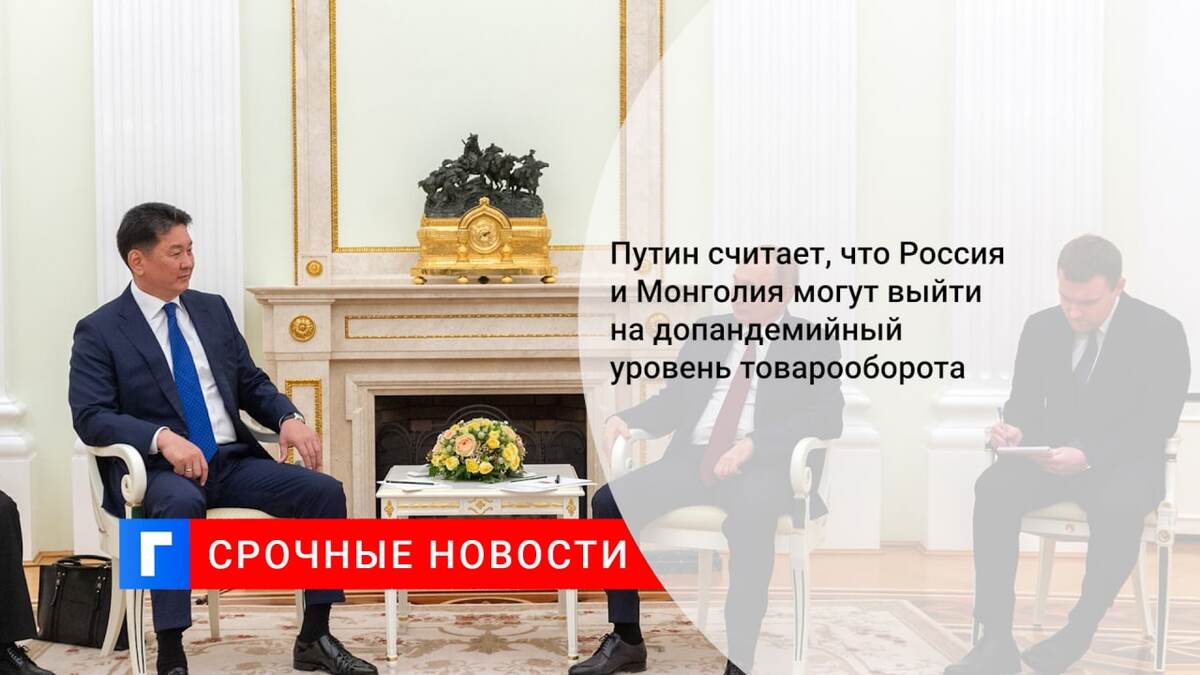 Путин считает, что Россия и Монголия могут выйти на допандемийный уровень товарооборота