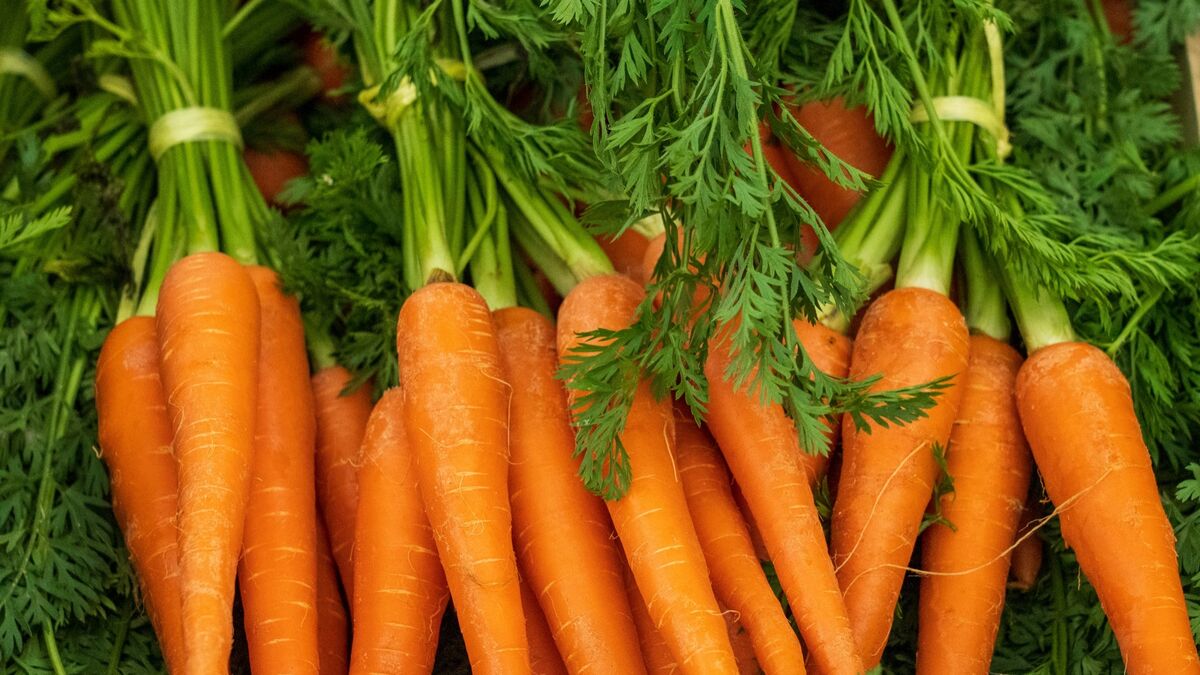 Гору моркови почистите за пару минут: вместо ножа нужен другой предмет