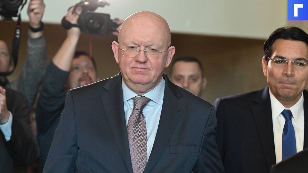Небензя обвинил Францию и Германию в преступлениях против населения в Донбассе