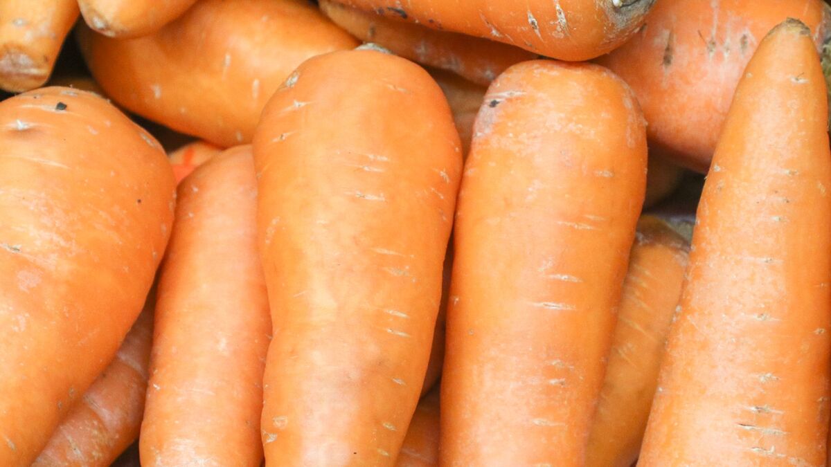 Мягкая морковь снова станет твердой и хрустящей: выбрасывать овощ не придется