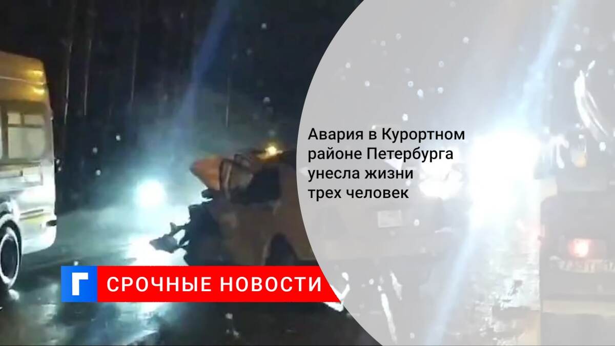 Авария в Курортном районе Петербурга унесла жизни трех человек