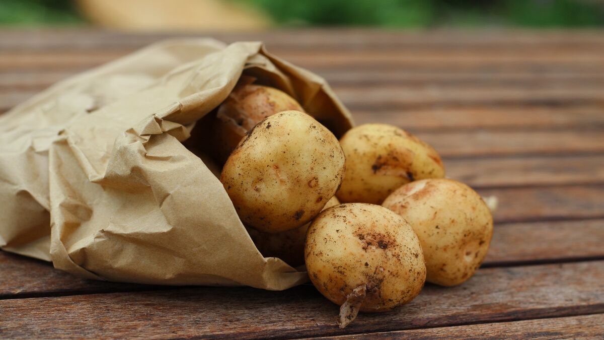 Определить вкус картошки поможет простой трюк: даже варить не придется