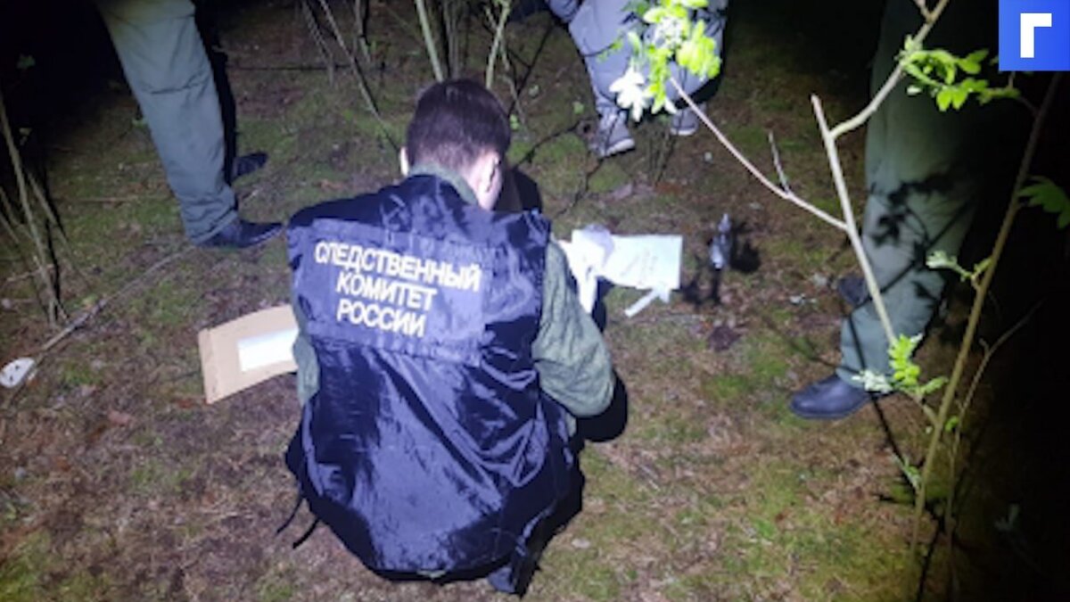 В Нижегородской области нашли тело пропавшей 12-летней девочки
