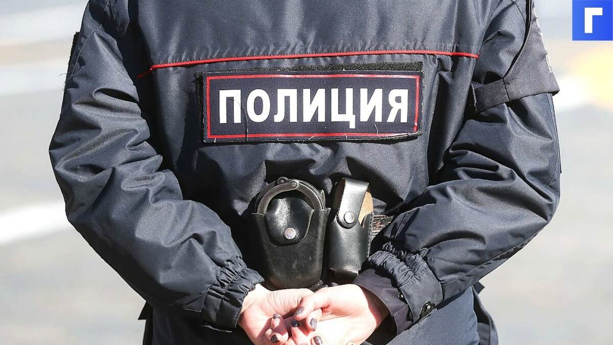 Задержан водитель Mercedes, насмерть сбивший двух женщин в Москве