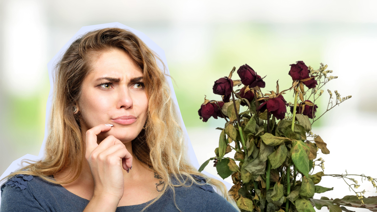Даже не пытайтесь укоренить черенок розы так: агроном разнес популярный лайфхак в пух и прах