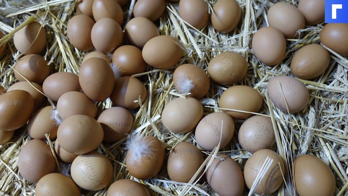 Минсельхоз не ожидает дефицита яиц в России