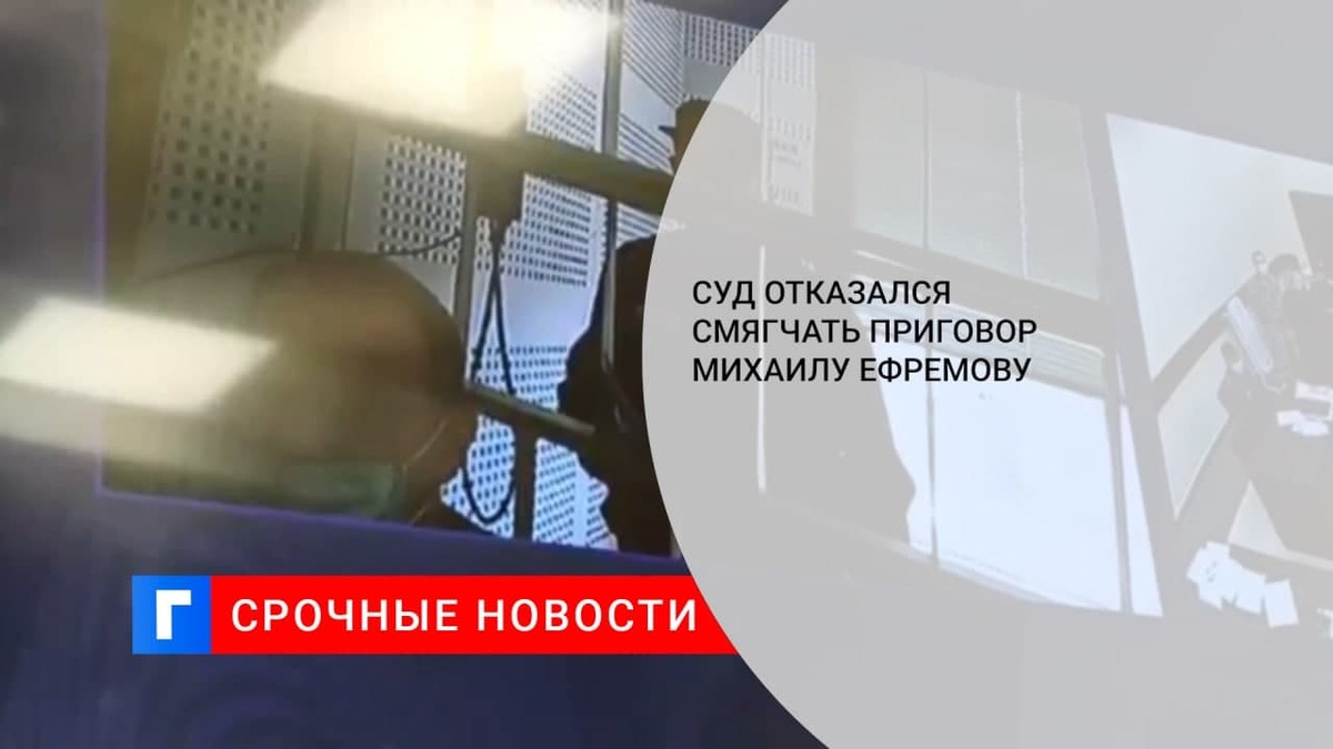 Кассационный суд отказался смягчить наказание актеру Михаилу Ефремову