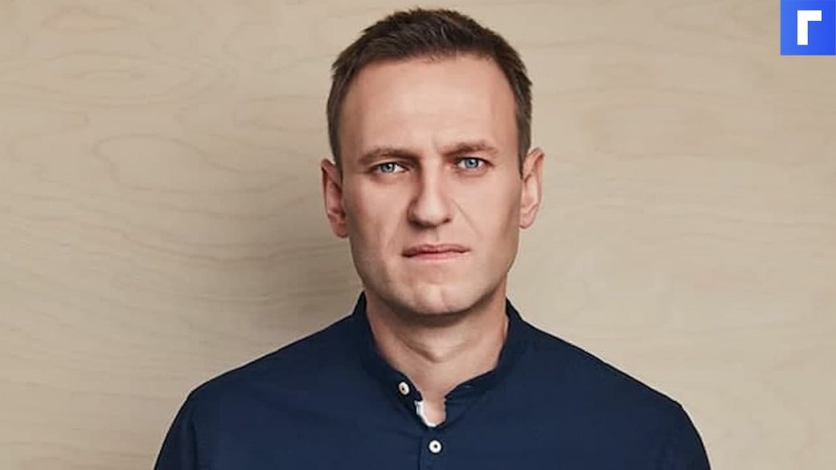 Прокурор попросила отправить Навального в колонию общего режима