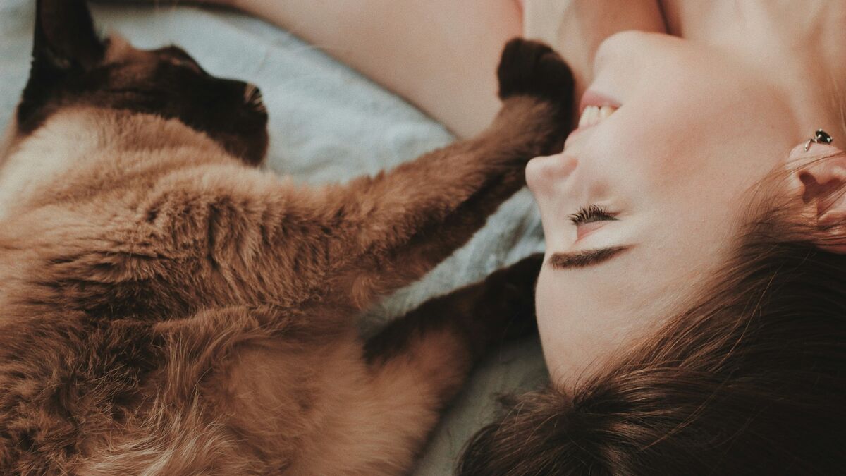 Вот почему кошки любят спать с хозяевами: дело не в том, что они чувствуют боль