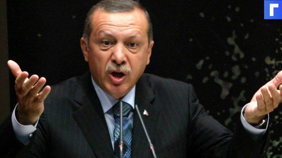 Эрдоган назвал недопустимым письмо отставных адмиралов о конвенции Монтрё