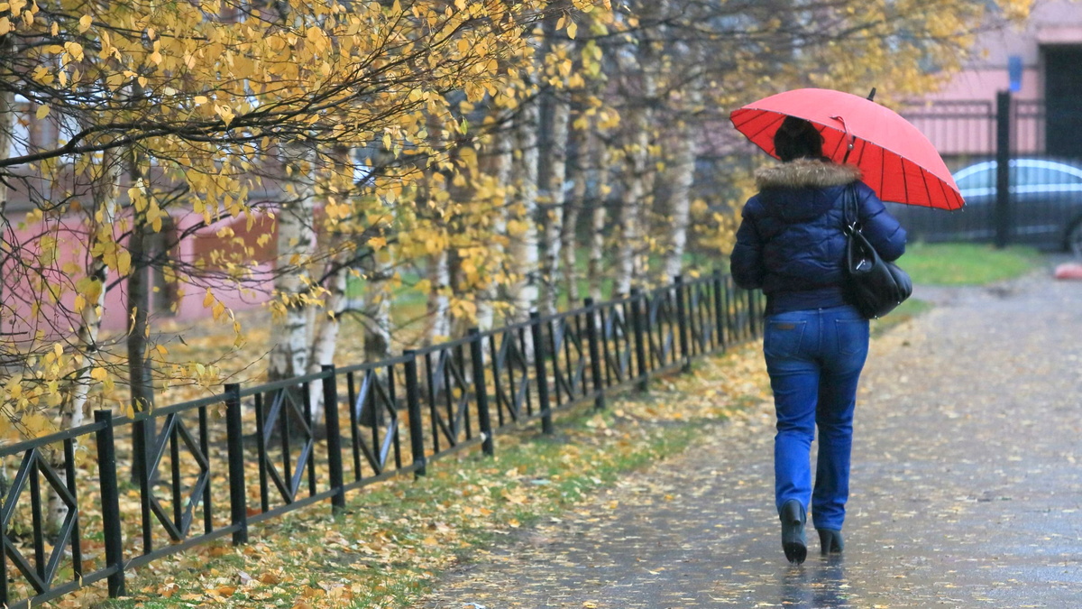 Метеоролог раскрыл, какая погода будет в Санкт-Петербурге на следующей неделе