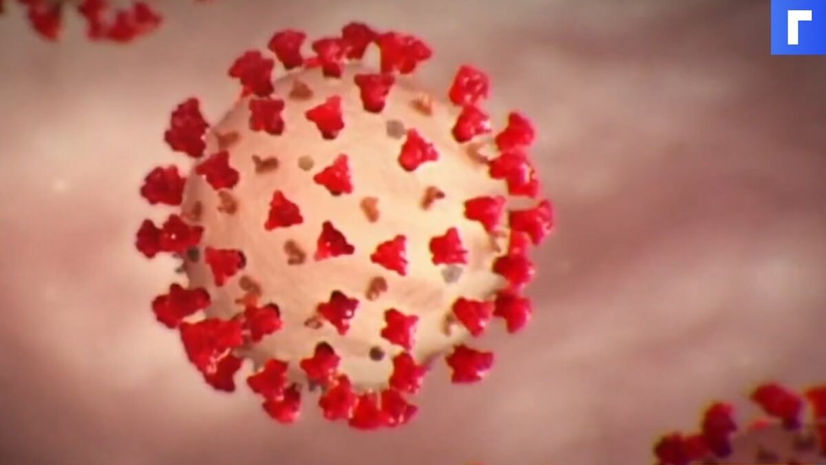 Ученые из Техаса нашли способ убить коронавирус за секунду 