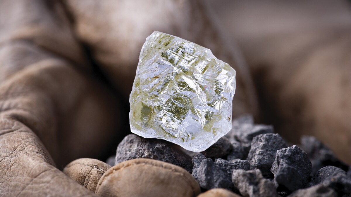 Алмазный парк: коллекционер регистрирует рекордный камень