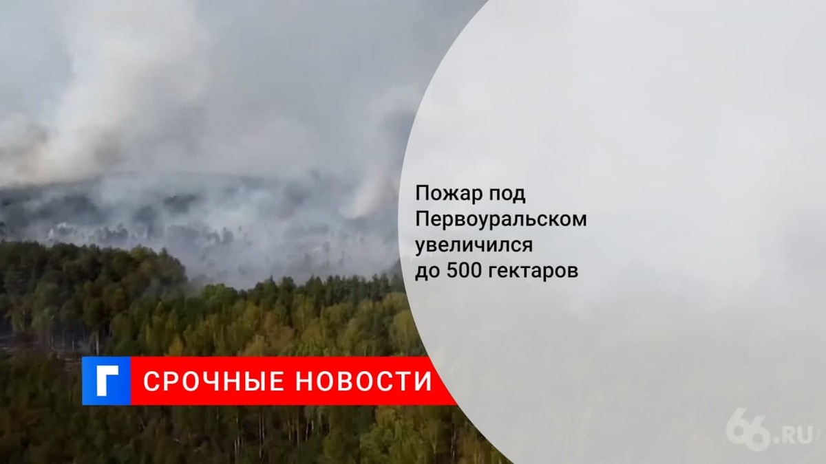 Площадь природного пожара около баз отдыха в Свердловской области возросла до 240 гектаров