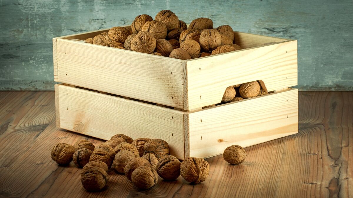 Никогда не храните орехи в шкафу: вот к чему это приведет