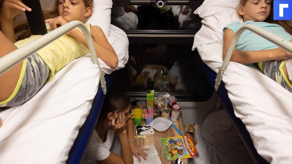 Семьи с детьми смогут путешествовать по России на поезде по льготным тарифам