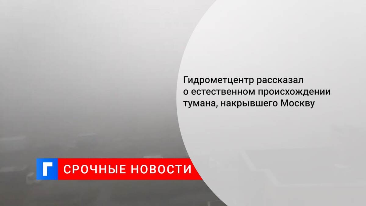 Гидрометцентр рассказал о естественном происхождении тумана, накрывшего Москву