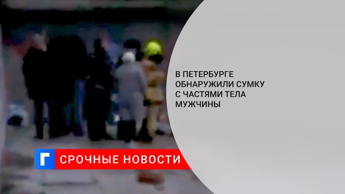 В Петербурге обнаружили сумку с частями тела мужчины