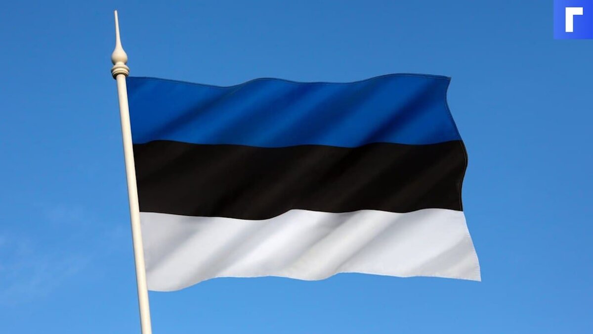 В эстонском парламенте раскритиковали идею запретить въезд россиянам в Евросоюз