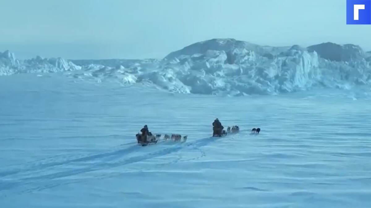 Netflix выпустил трейлер фильма «Борьба со льдом» с двумя звездами «Игры престолов»