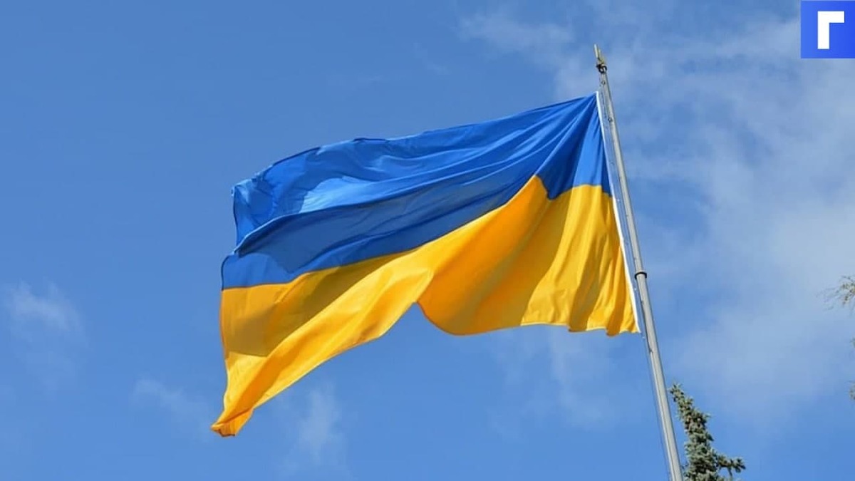 На Украине планируют разрешить второе гражданство