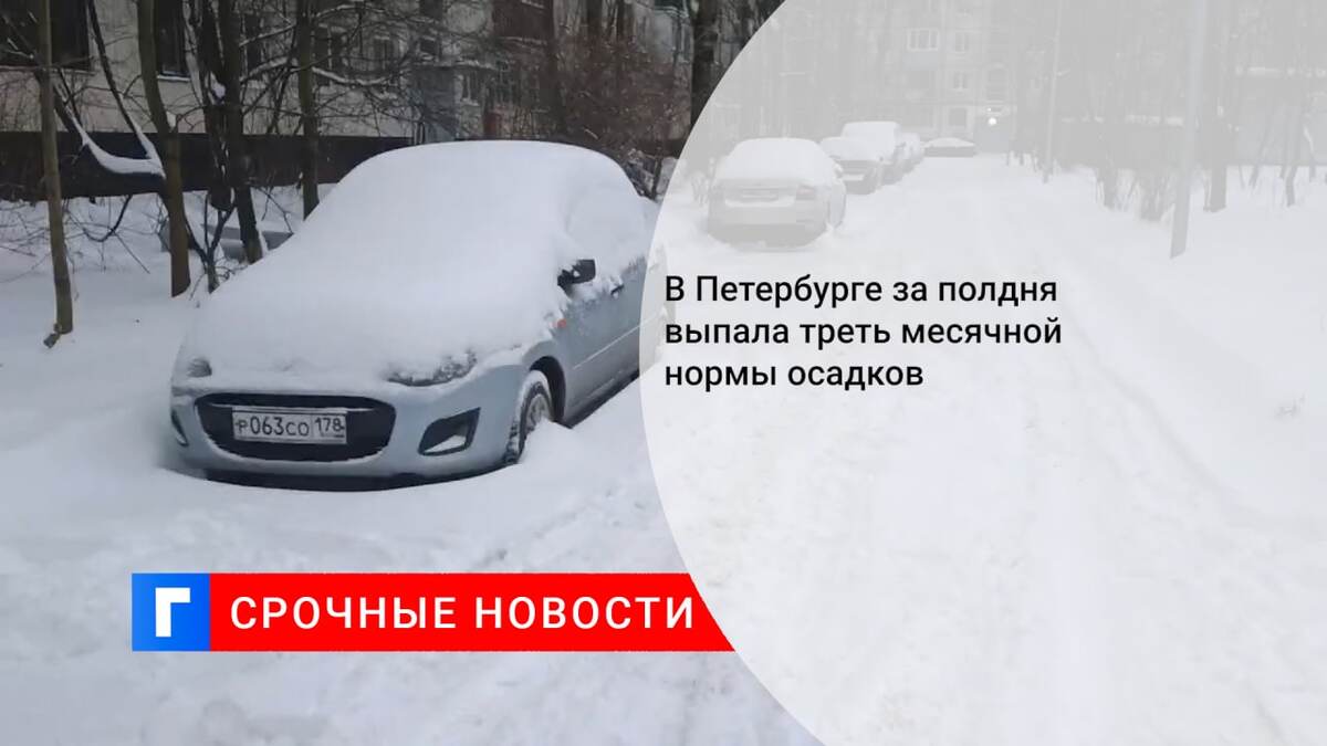 В Петербурге за полдня выпала треть месячной нормы осадков