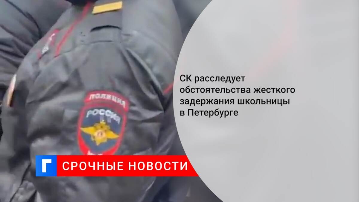 СК расследует обстоятельства жесткого задержания школьницы в Петербурге