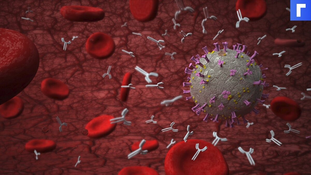 ВОЗ: менее 10 % жителей планеты имеют антитела к коронавирусу