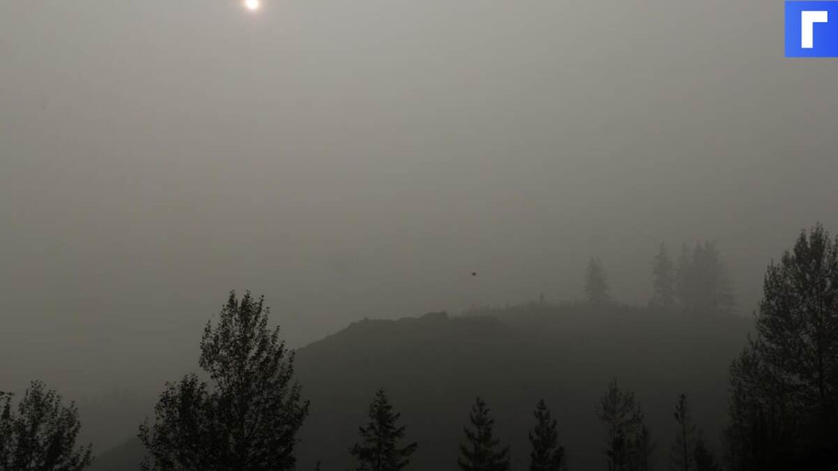 Трассу в Курганской области накрыло смогом из-за лесных пожаров