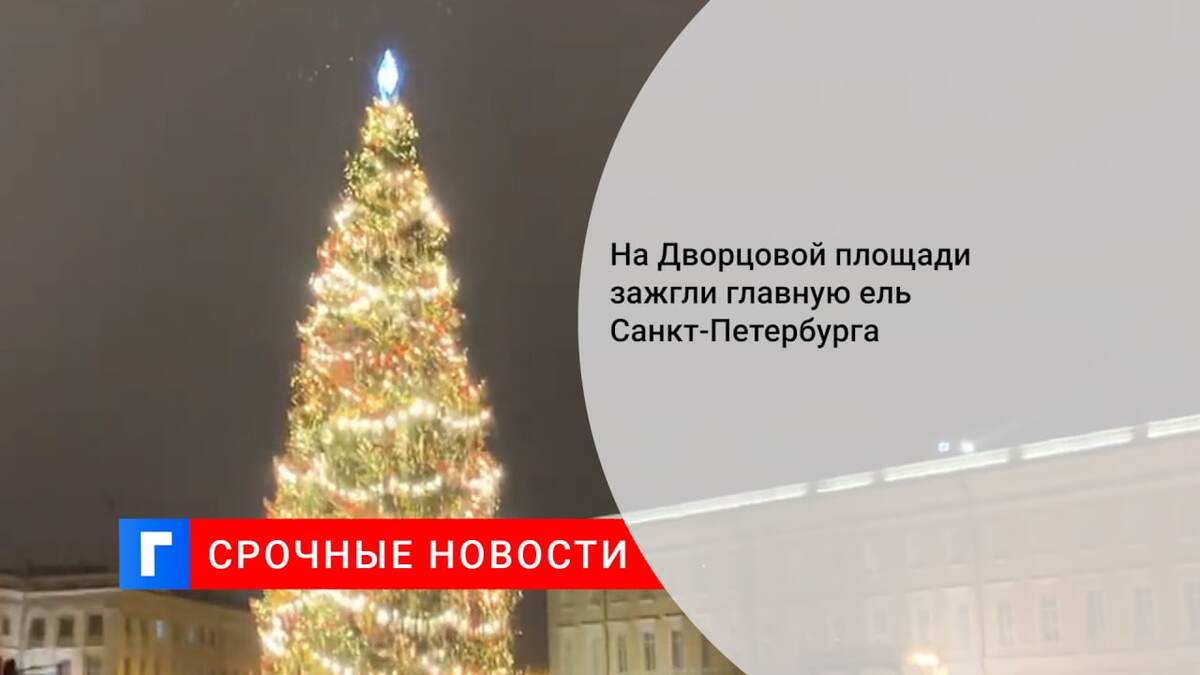 На Дворцовой площади зажгли главную ель Санкт-Петербурга