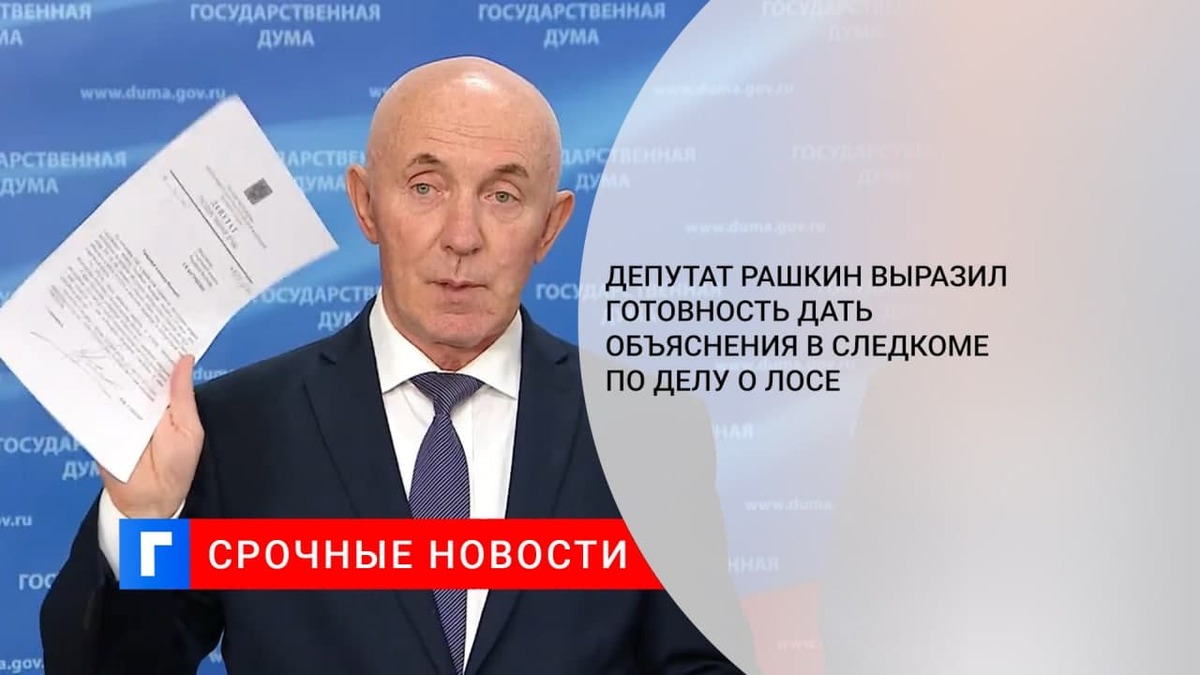 Депутат Рашкин выразил готовность дать объяснения в СК по делу о лосе