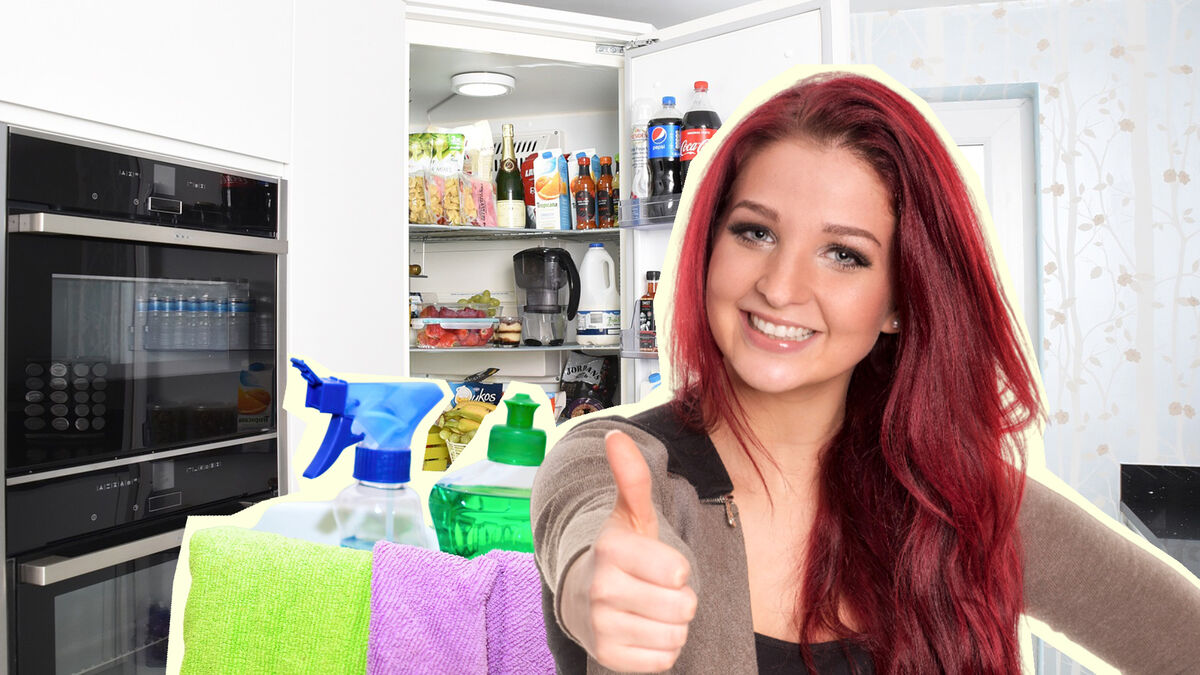 Раскрыт секрет правильной очистки холодильника: вот как не сломать прибор