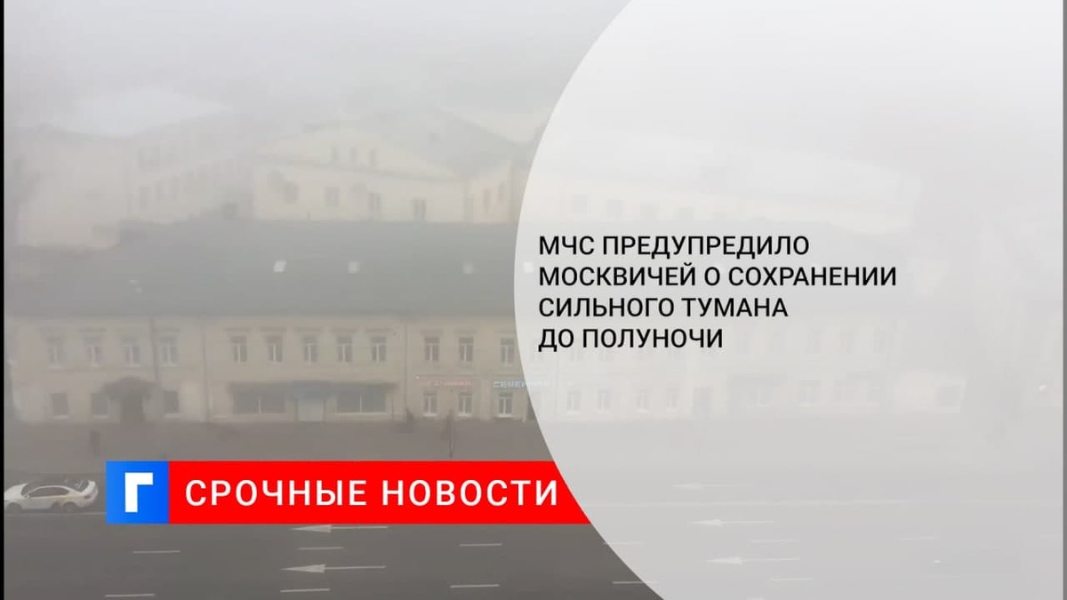 МЧС предупредило москвичей о сохранении сильного тумана до полуночи
