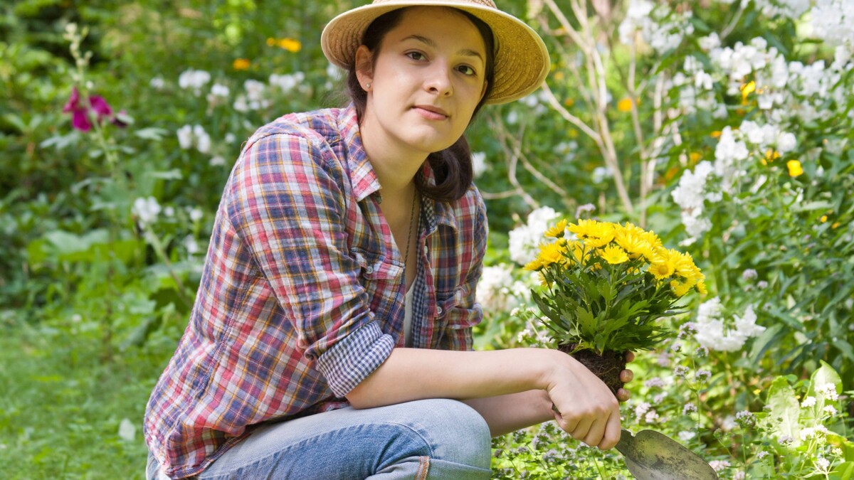 Вашим садовым дорожкам обзавидуются все соседки: посадите вдоль эти цветы