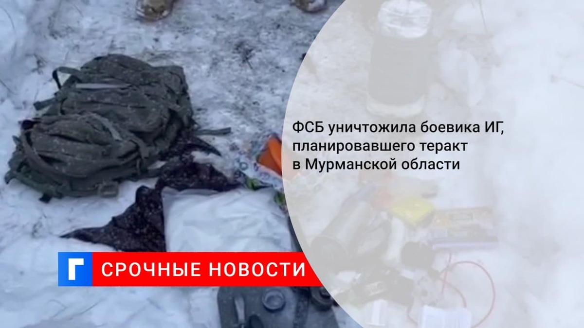 ФСБ предотвратила теракт на военных объектах под Мурманском