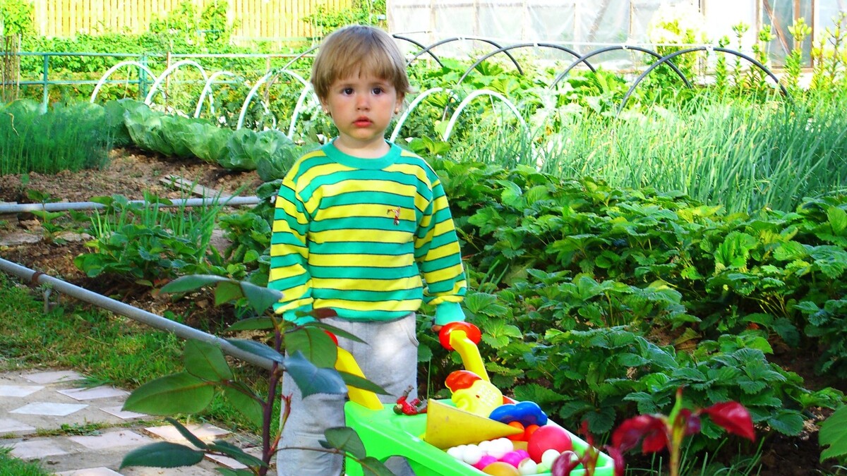 Сорняки «сбегут» с вашего огорода: вот как сделать идеально чистые грядки