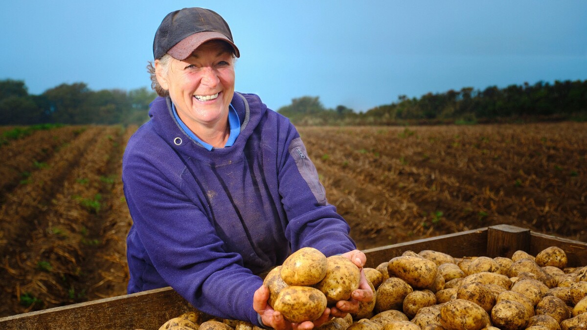 У опытных хозяек картофель не прорастает: кладут к овощам вот что