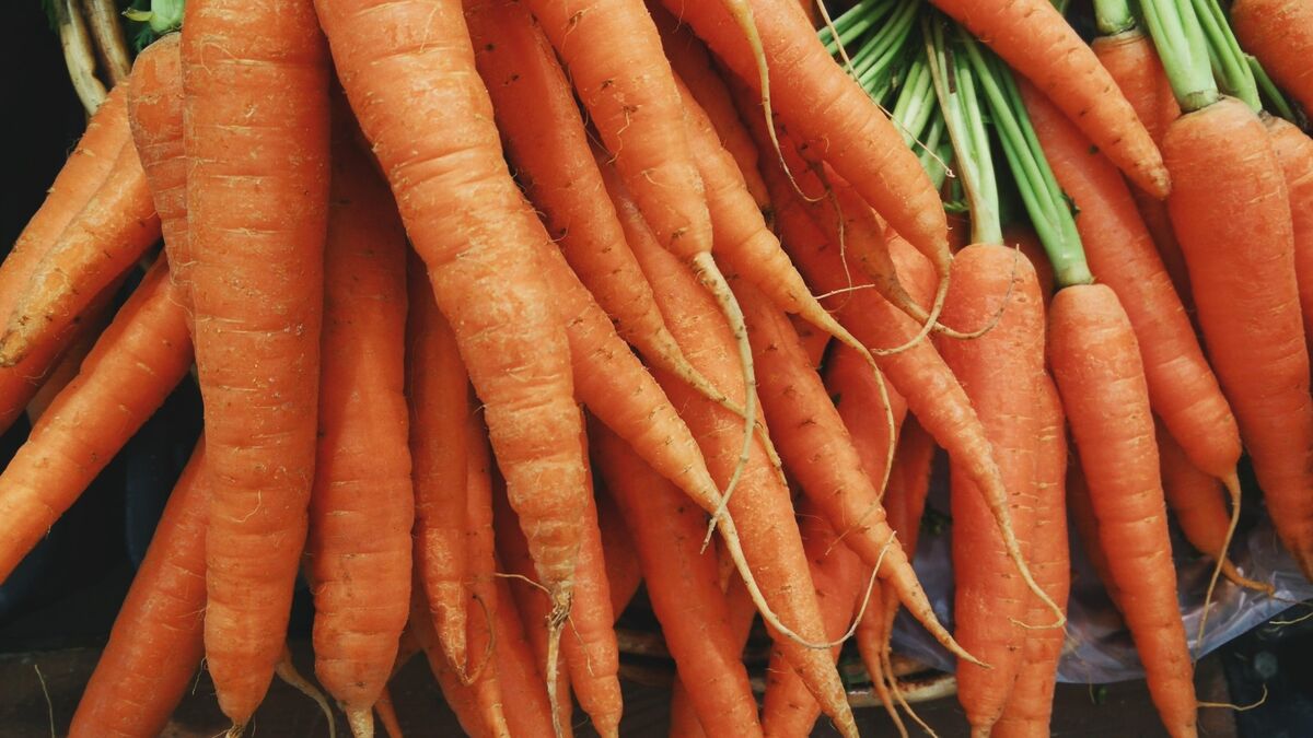 Морковь на салаты отварите за пять минут: без кастрюль и духовки