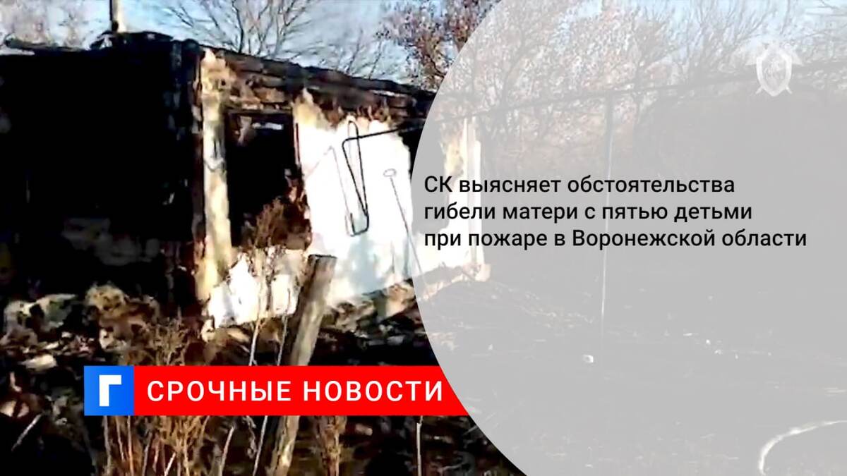 СК выясняет обстоятельства гибели матери с пятью детьми при пожаре в Воронежской области
