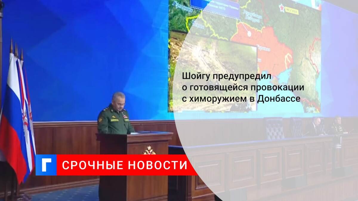 Шойгу предупредил о готовящейся провокации с химоружием в Донбассе