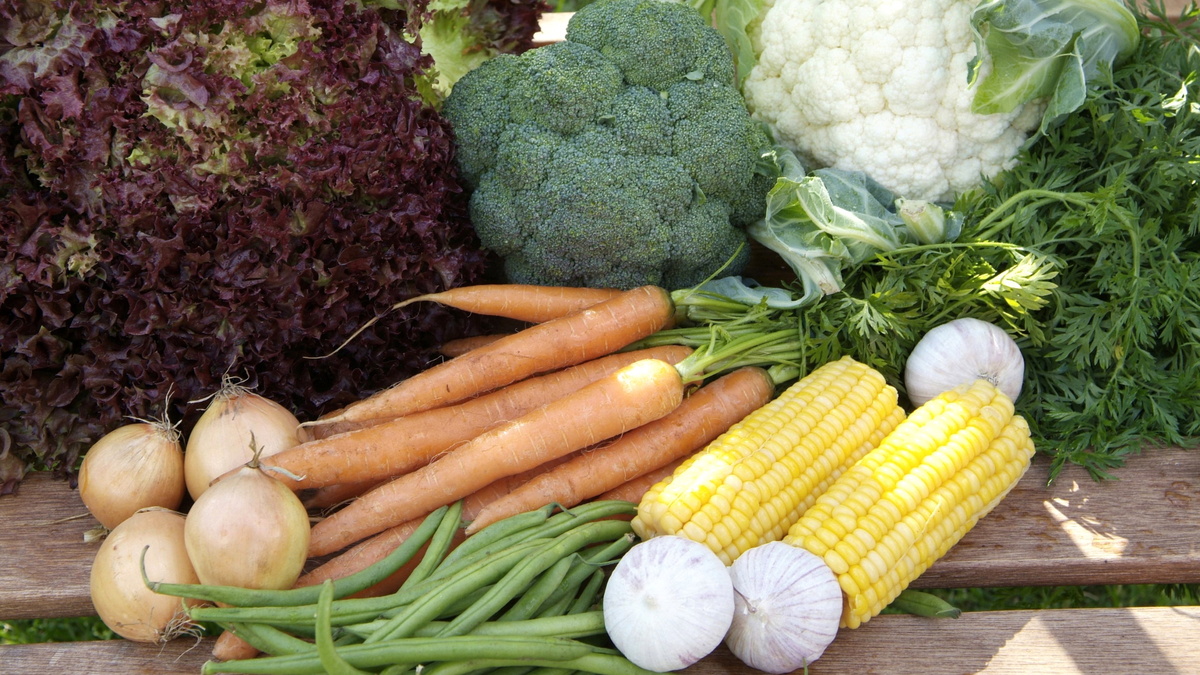 Пекинская брюссельская кольраби капусты. Зеленые овощи. Овощи и фрукты. Овощи в диетическом питании. Полезные продукты.